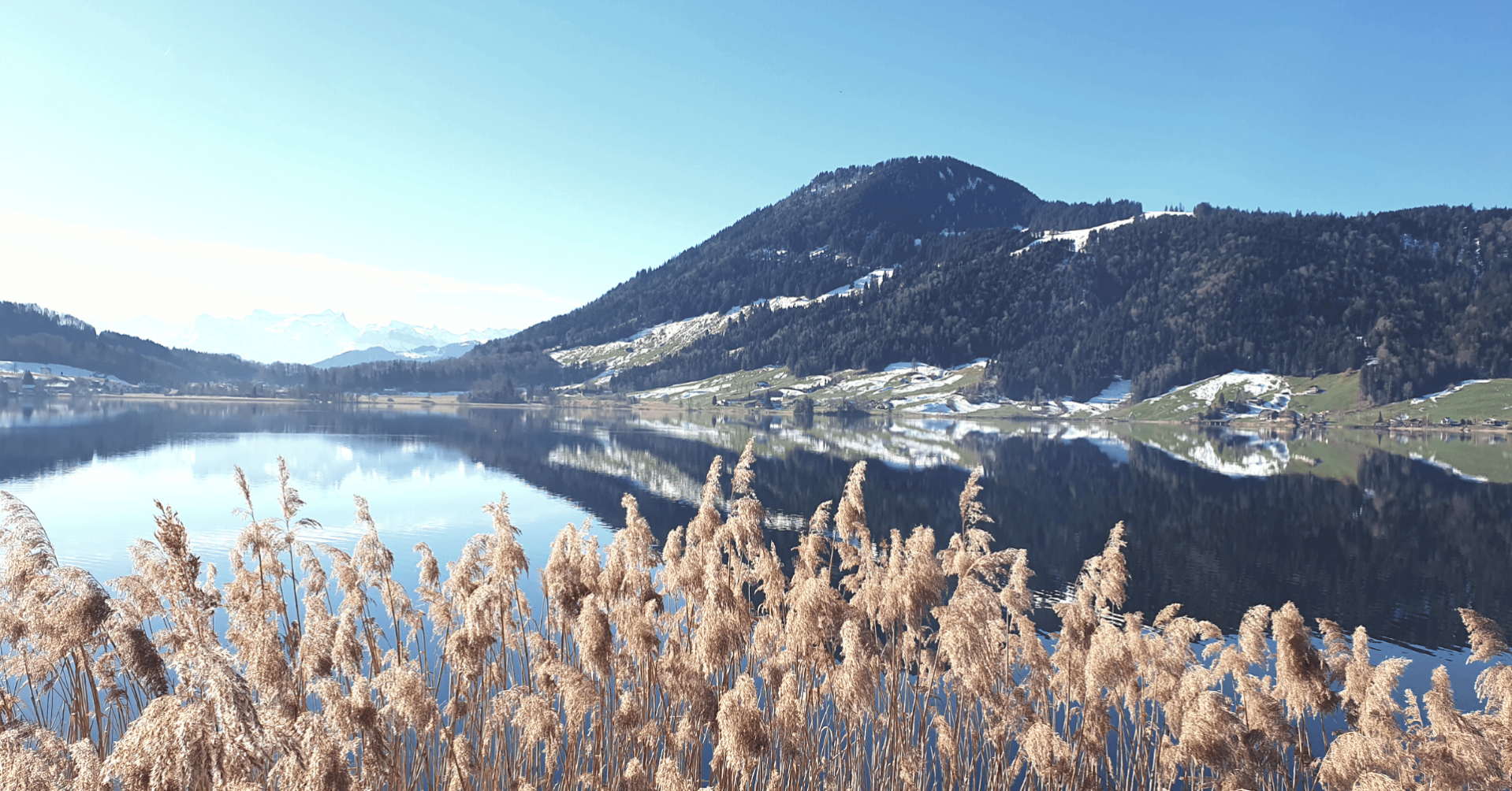 Design ohne Titel(7)