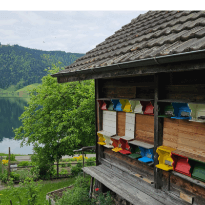 Bienenstock