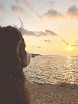 Sonnenaufgang
