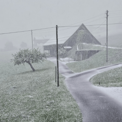 Mai-Schnee