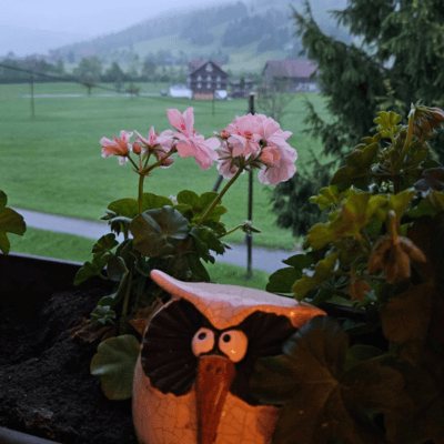 Morgenstimmung