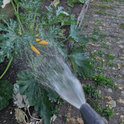 Garten giessen