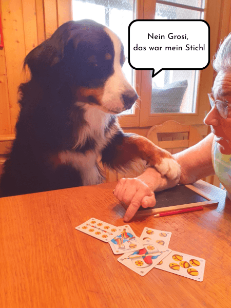 Schellenjass