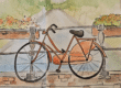 Velo
