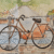 Velo