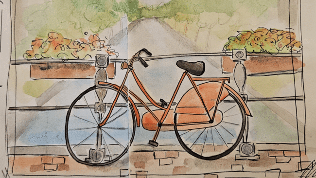 Velo