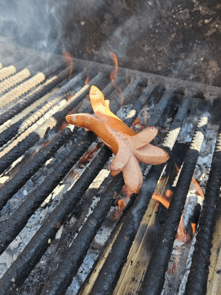 Lagerfeuer